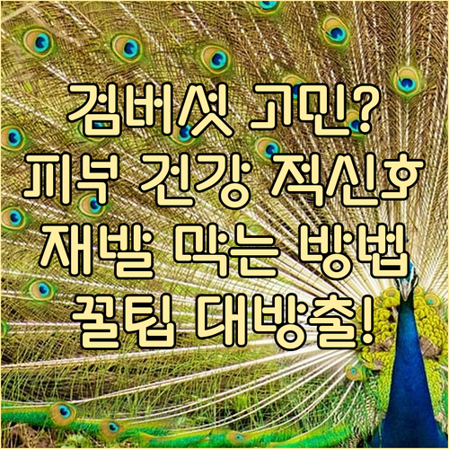 피부 건강 해치는 검버섯, 재발 막는..