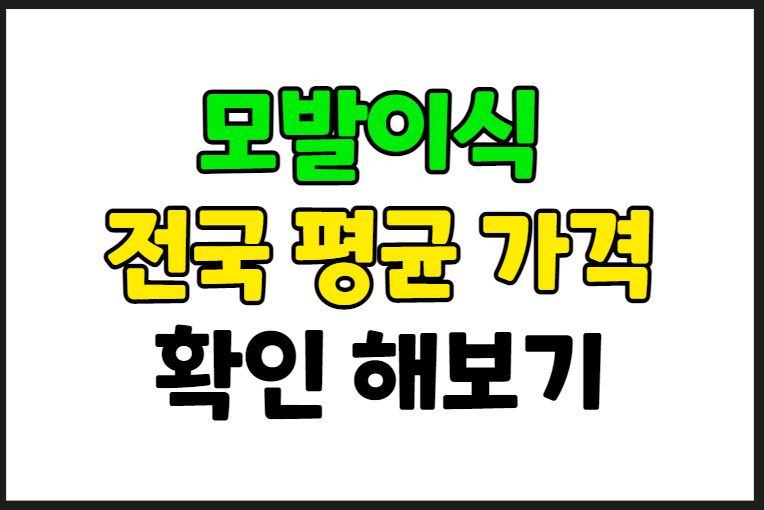 2023년 모발이식 가격 정리