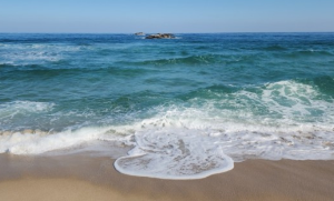 부처님오신날 연등행렬축제