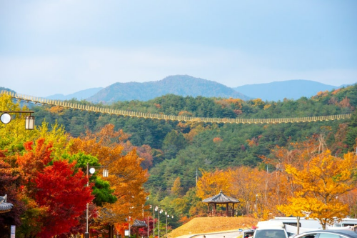 거창 수승대 출렁다리 사진