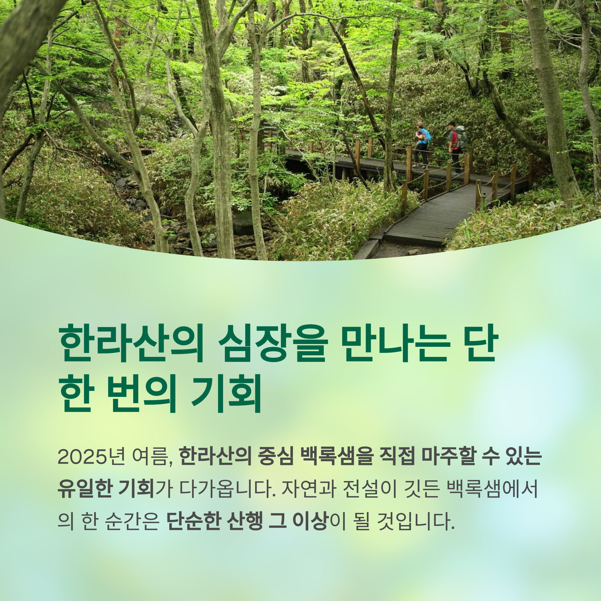 한라산의 심장을 만나는 기회