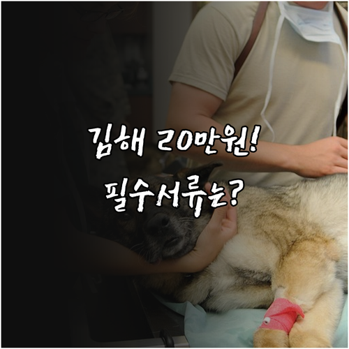 김해시 반려동물 진료비 20만원 지원..