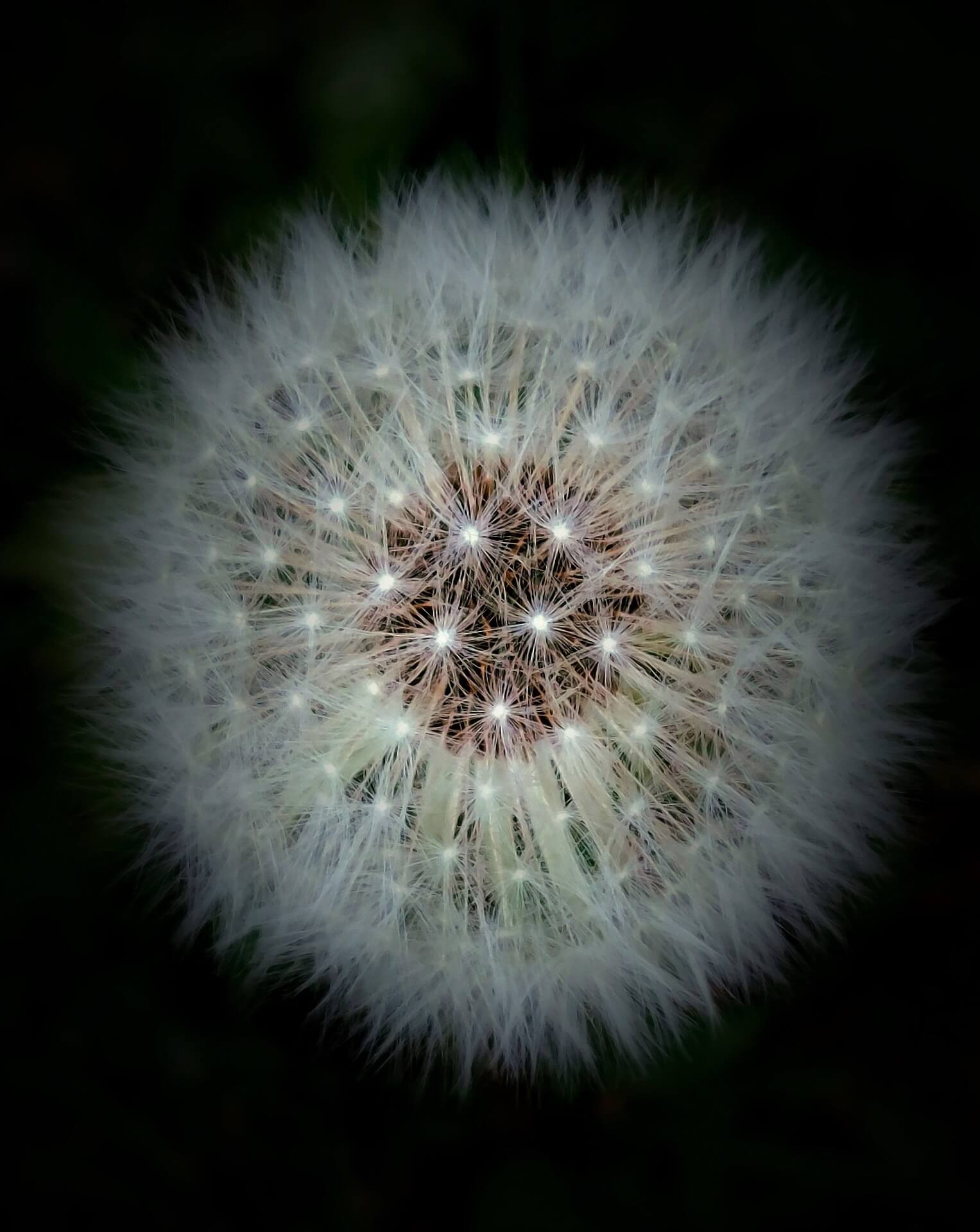 중년 여성의 피로와 무기력, 갱년기 체력 저하의 모든 원인