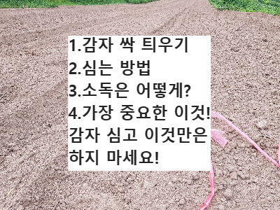 갈아놓은 밭