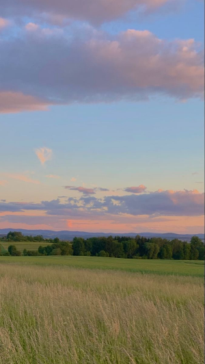 스마트폰 배경화면 잠금화면 자연 풍경 무료 다운로드