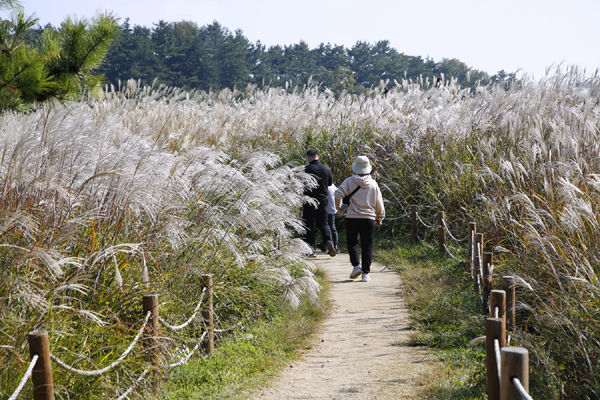 군산 가볼만한곳 - 군산호수 둘레길