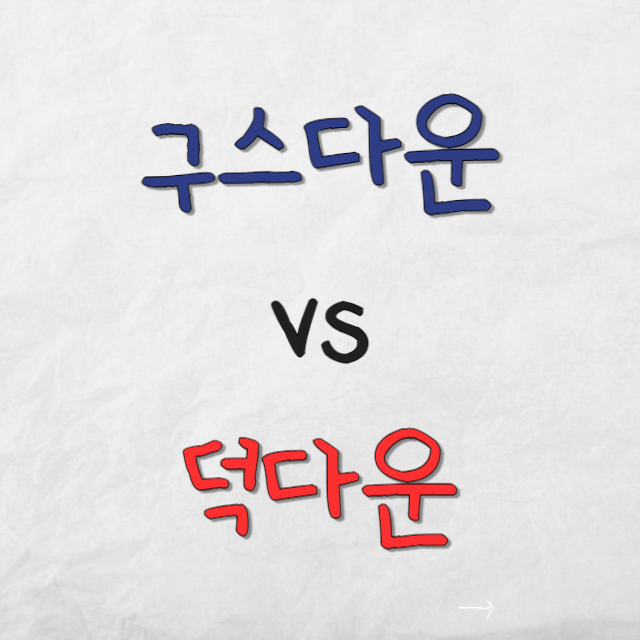 구스다운과덕다운패딩차이