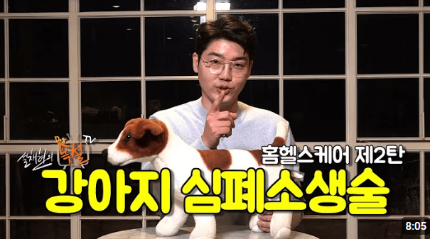 반려인이라면 꼭 알아야 할 강아지, 고양이 심폐소생술과 응급조치 방법