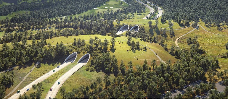 올 12월 개장 휴스턴 야생 휴양 공원 메모리얼 파크 VIDEO: Houston is cloaking a six-lane highway in a 'land bridge' prairie for wildlife