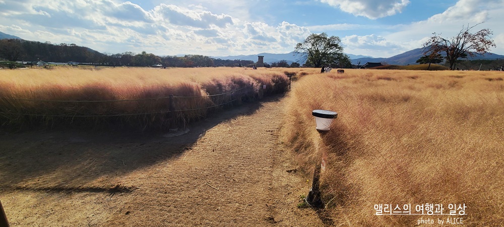 경주 한복입고 사진찍기 좋은 예쁜 장소 BEST 10 