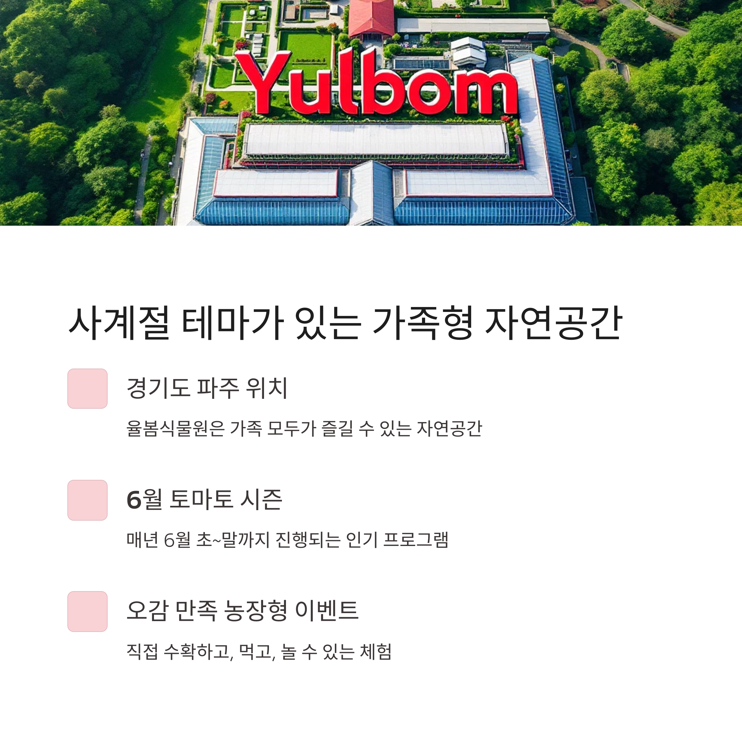 초여름 농장의 싱그러움, 율봄식물원 토마토 시즌 체험 가이드