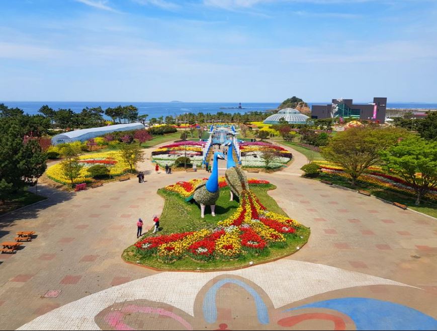 튤립꽃 박람회 사진