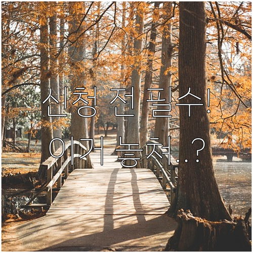 국민취업지원제도 신청 전 반드시 알아..