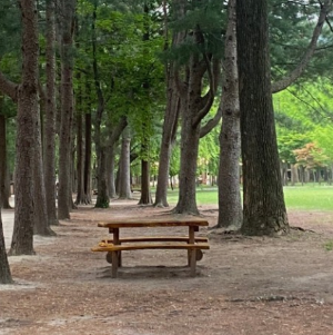 가족과함께할국내여행지
