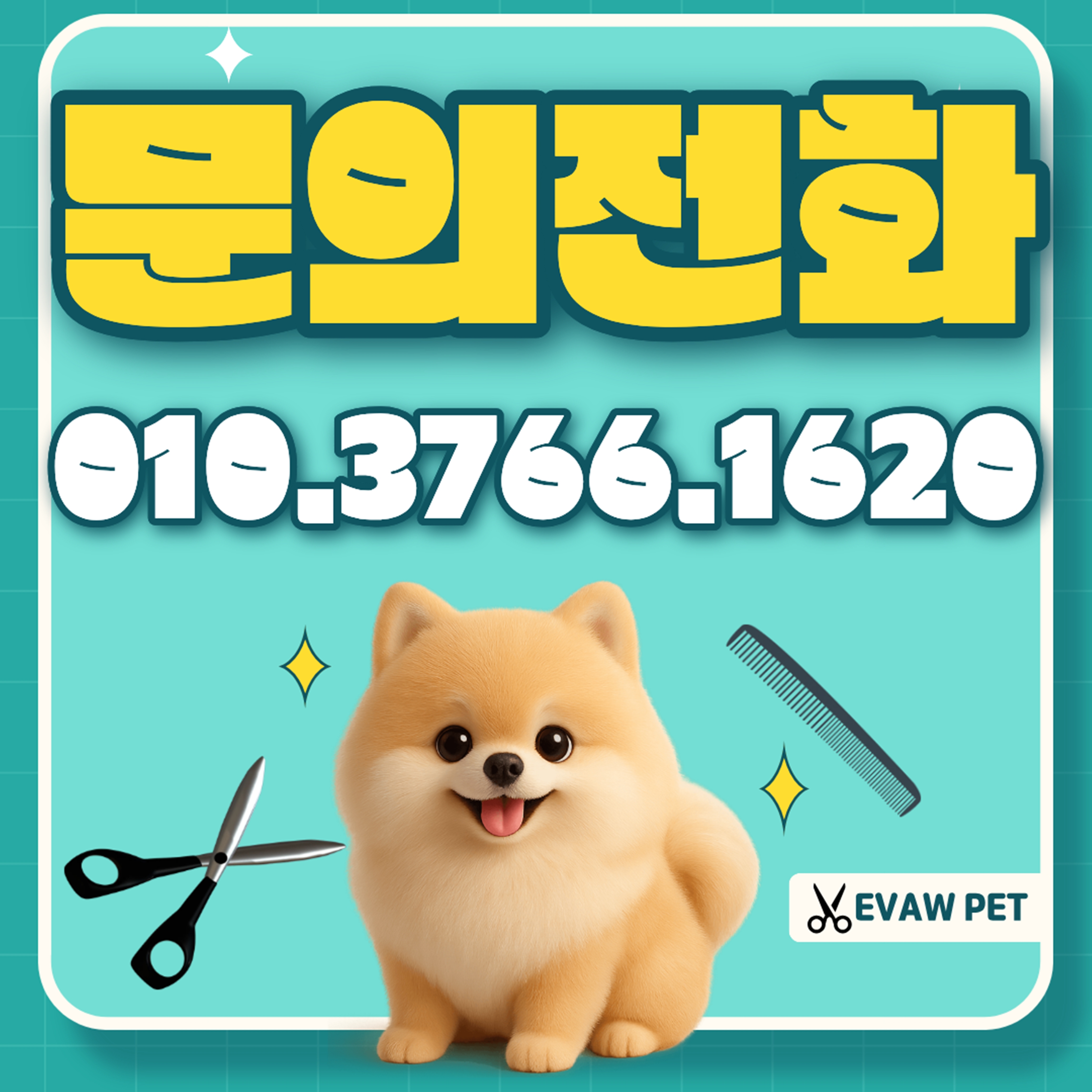 광주애견미용학원