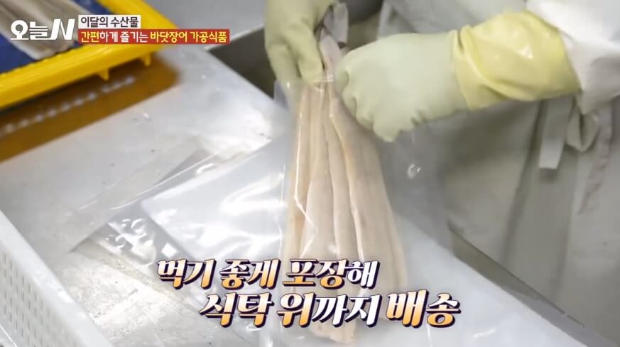 오늘N 이달의 수산물 통영 자연산 바닷장어 구입방법 근해통발수협협동조합 오늘N 2502회