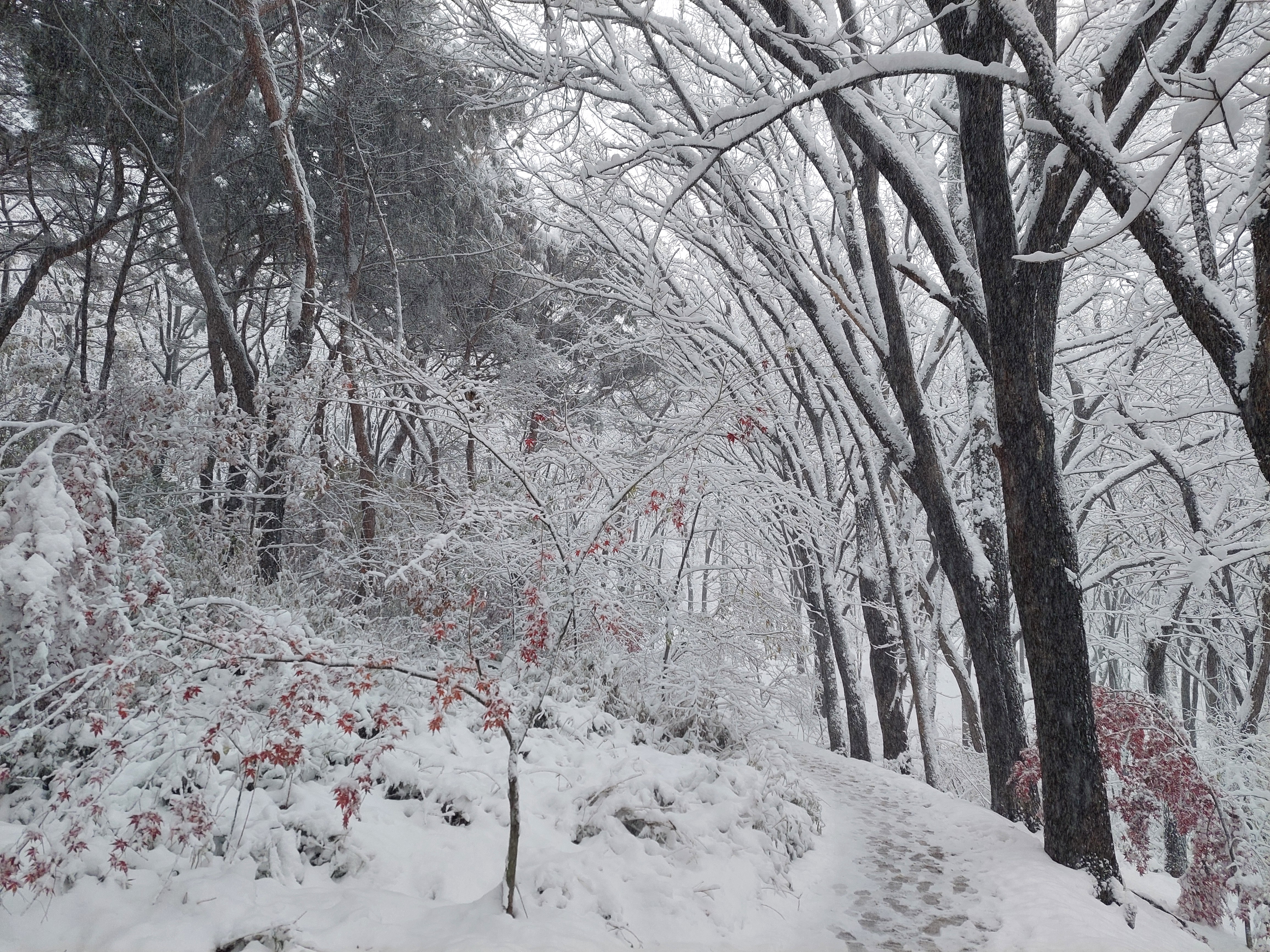 백련산안산