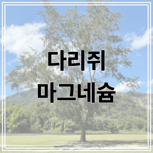 다리쥐 마그네슘