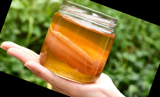 콤부차 효능 부작용 이디아 콤부차