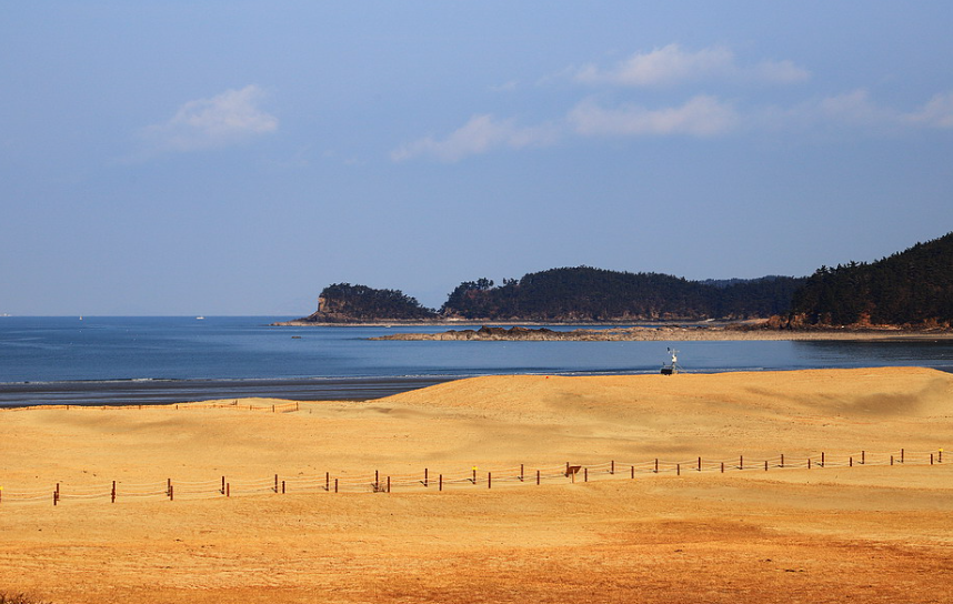 신두리해안사구