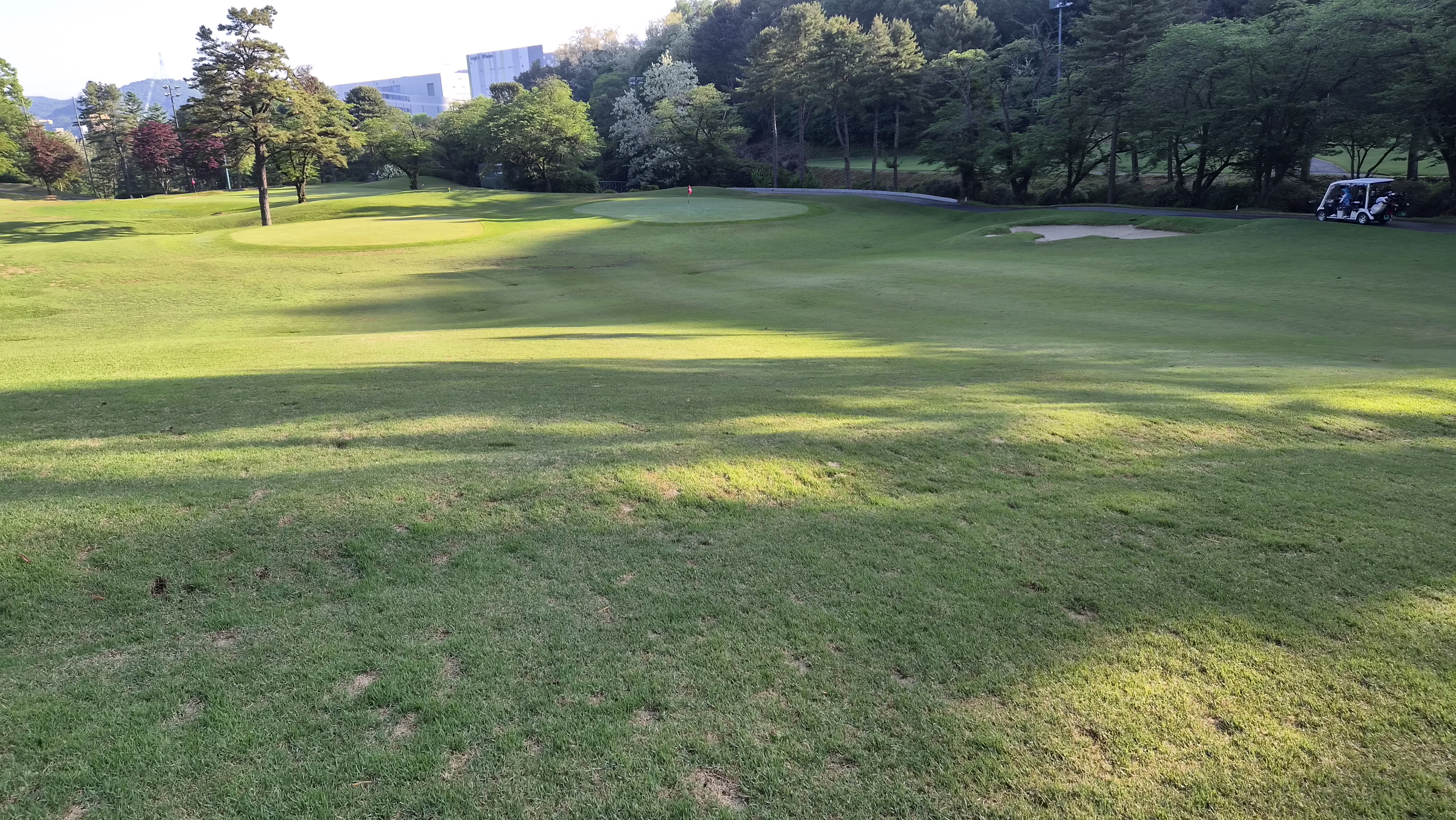 양지파인cc 서-남 코스 사진 및 공략 정보