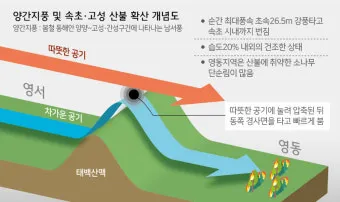 봄철 강풍 꽃가루 농도 알레르기 마스크 관리_17