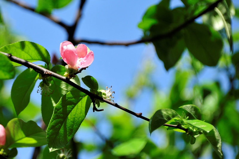 2022년 4월 24일 넷째 주 대표 기도문