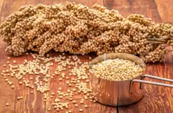 수수 가격 및 효능&amp;#44; 영양성분과 부작용