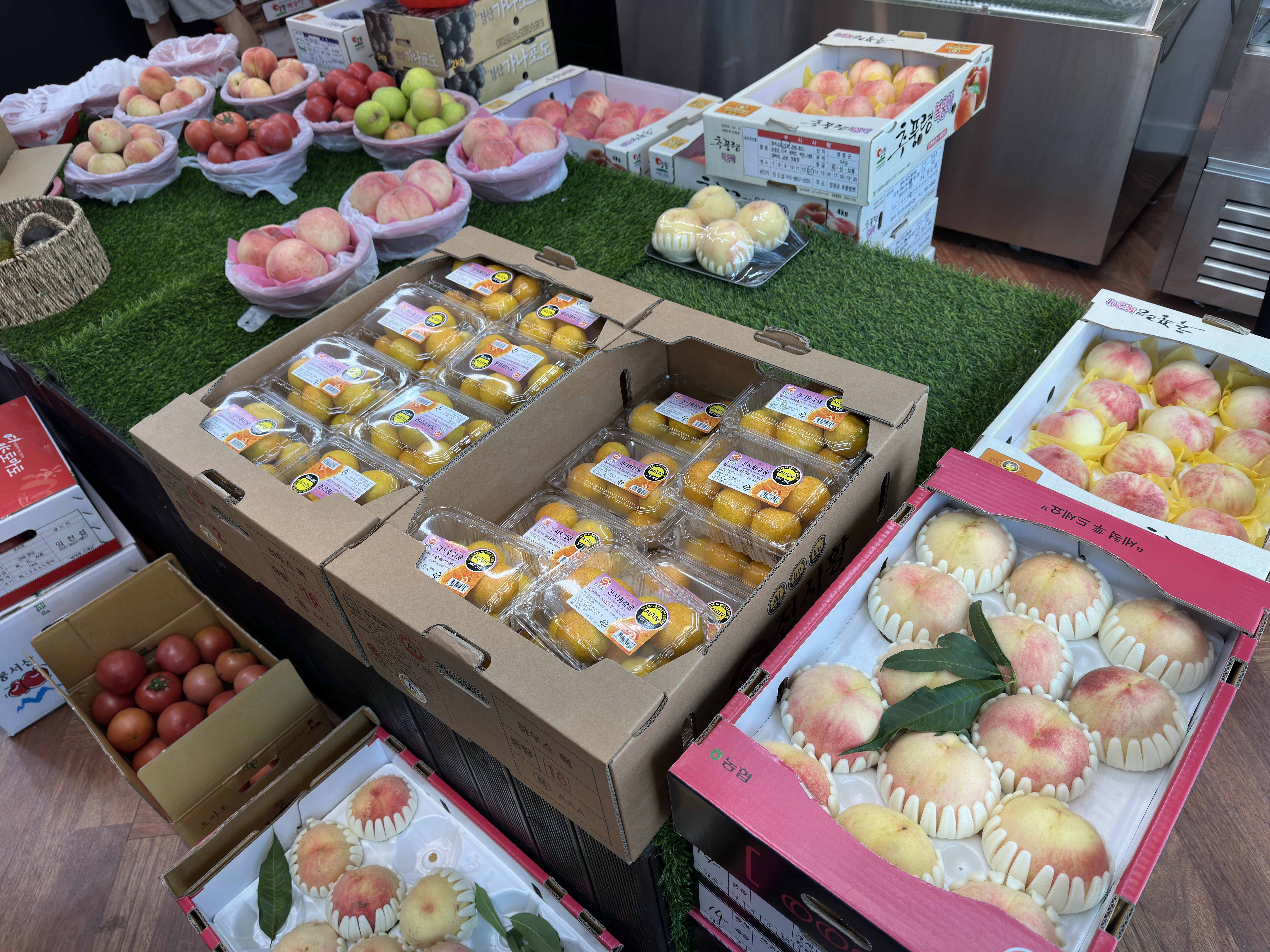 송정 철길과일 실내