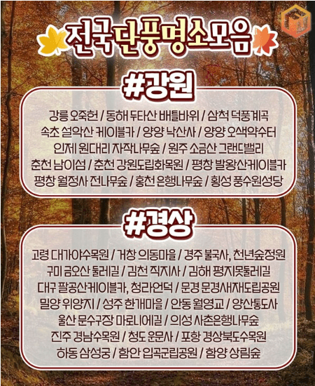 2024 단풍절정시기 지도 명소 설악산 축제 가을 지역별 시기 정보 화담숲 단풍