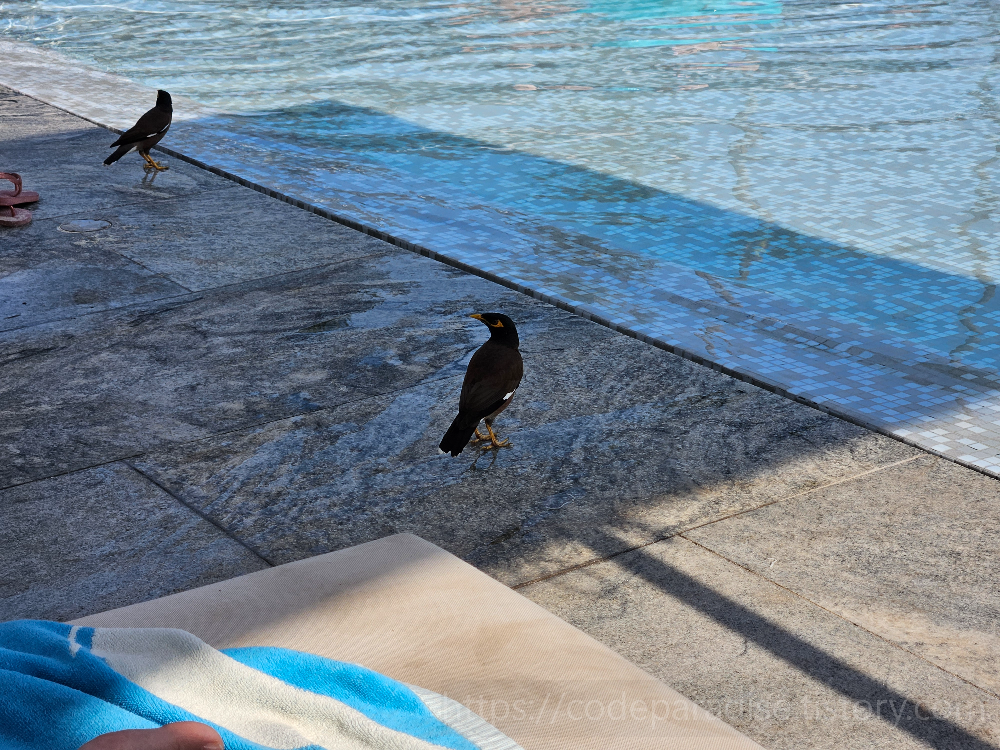 호텔 투숙 마지막 날 사진