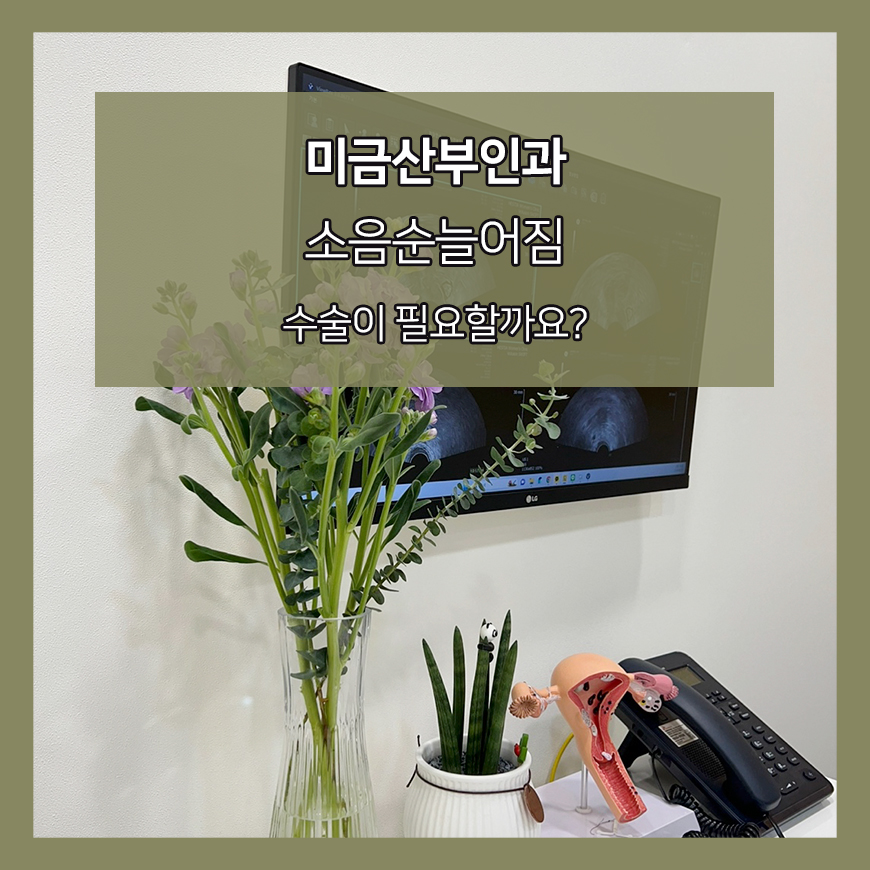 미금산부인과
소음순늘어짐