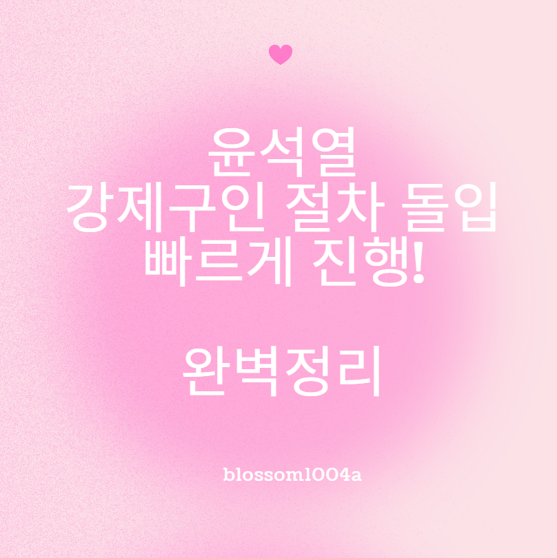 윤석열 강제구인 절차 돌입 빠르게 진행!