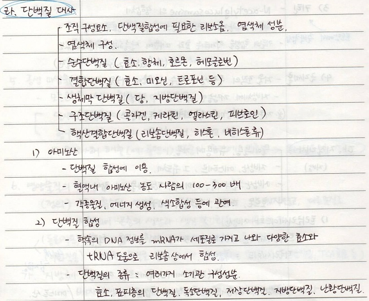 곤충의 기관별 생리와 기능 - 단백질대사