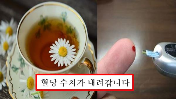 카모마일 효능