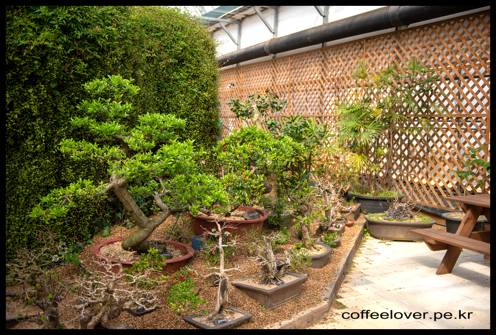 이천여행 아이와 가볼만한곳 덕평공룡수목원