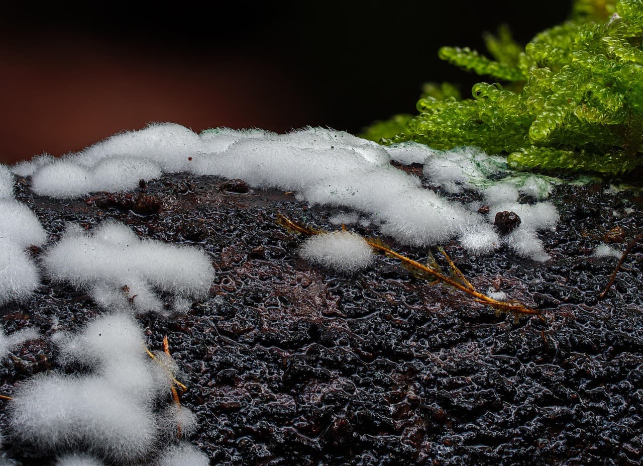 대기업 투자 및 정부 지원 확대 필요