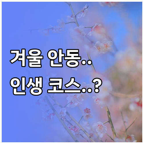 겨울 안동 가볼만한곳 추천 및 실내외..