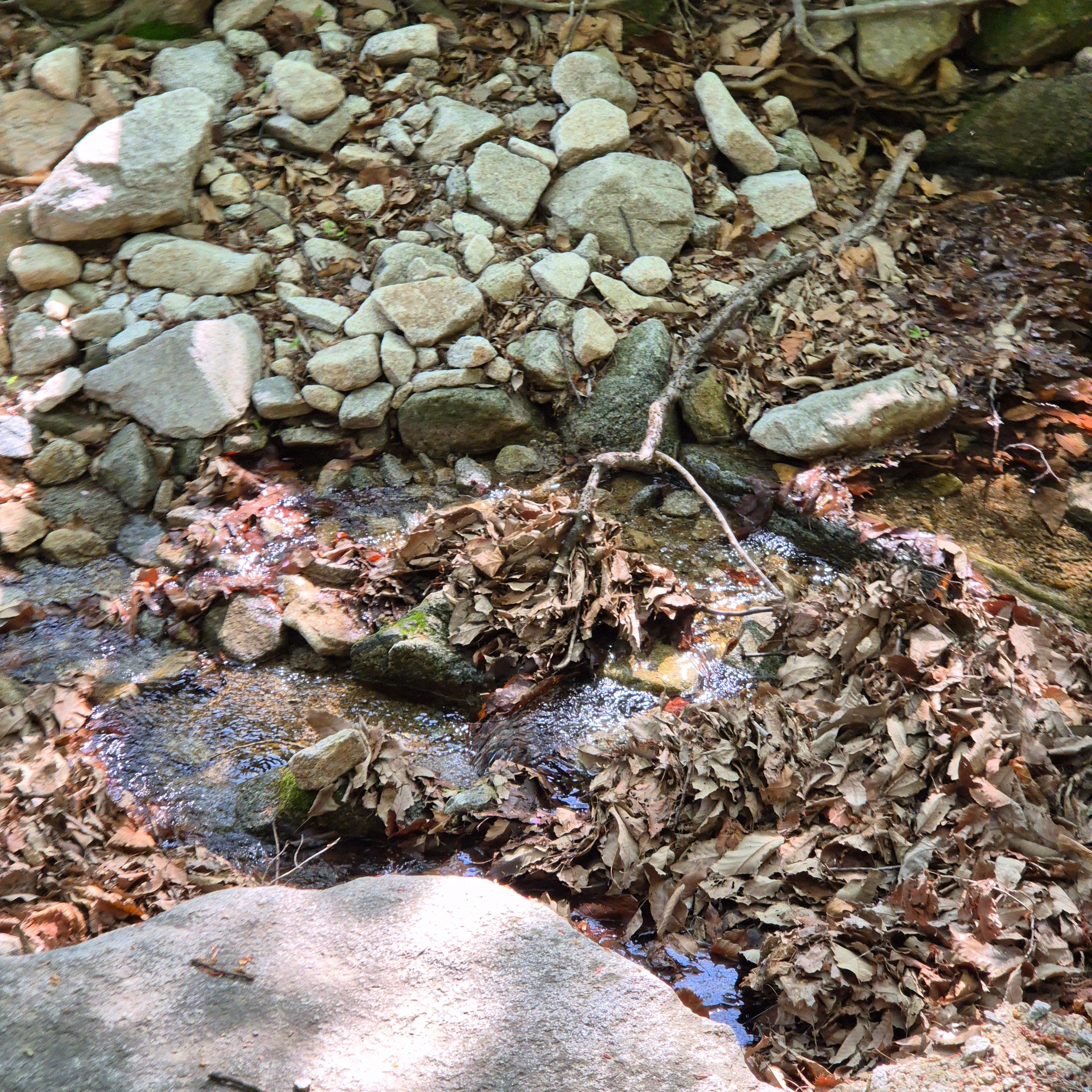 마니산 입장료, 마니산, 마니산 등산, 마니산 등산로, 강화도 마니산, 강화 마니산, 함허동천, 함허동천로, 마니산 함허동천로, 마니산 험허동천, 마니산 계곡로, 마니산 단군로, 마니산 주차장