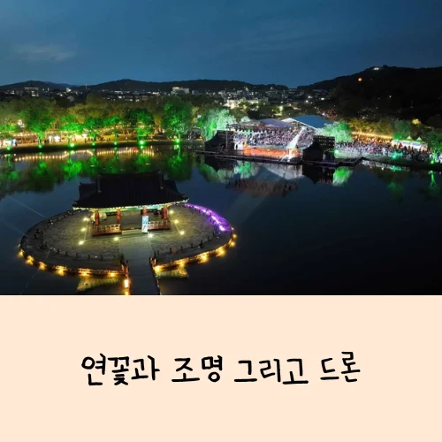 부여서동연꽃축제 완전 정리