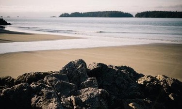 섬유질 식품, 성인병을 다스리는 음식 99%가 모른다는 총정리 알아보기