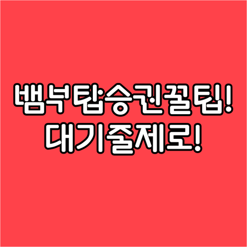 뱀부 항공 모바일 탑승권 사용법과 공..