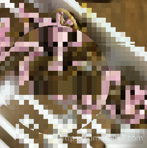 예방접종 이후 변에서 발견된 기생충과 보호자가 했던 판단