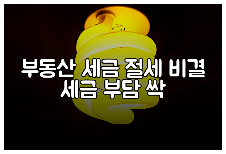 부동산 세금 절세 비결 세금 부담 싹