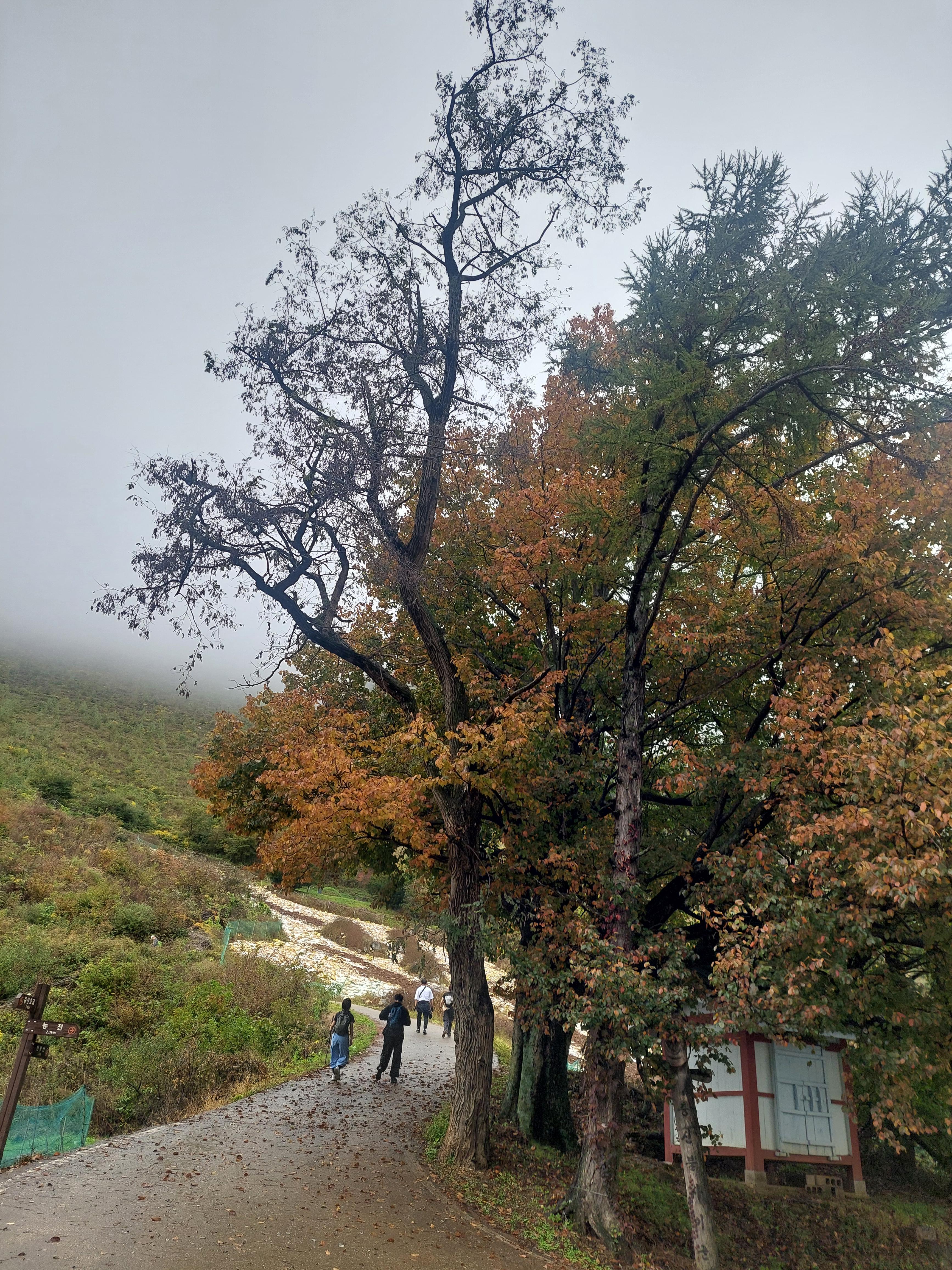 민둥산