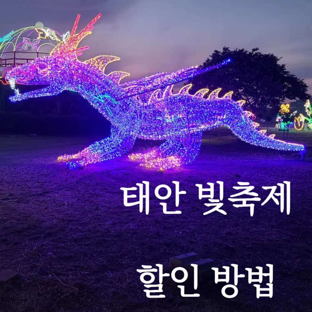 태안빛축제할인방법 태안별빛축제 태안불빛축제 태안애견동반 태안꽃축제 튤립축제 꽃박람회 태안할인