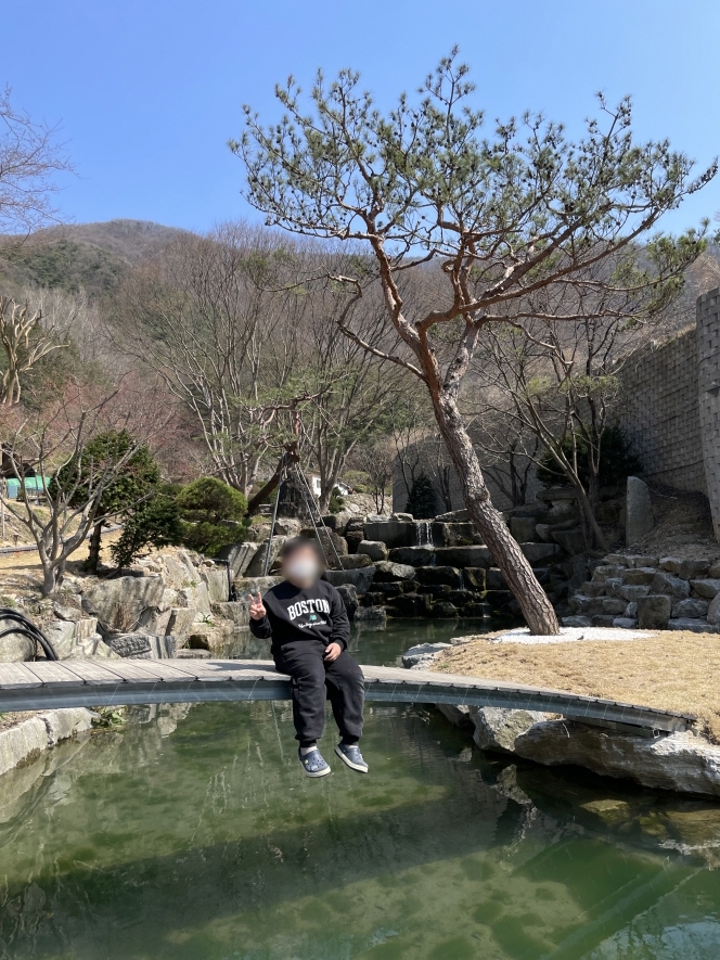 헤일로92-자라나는-새싹