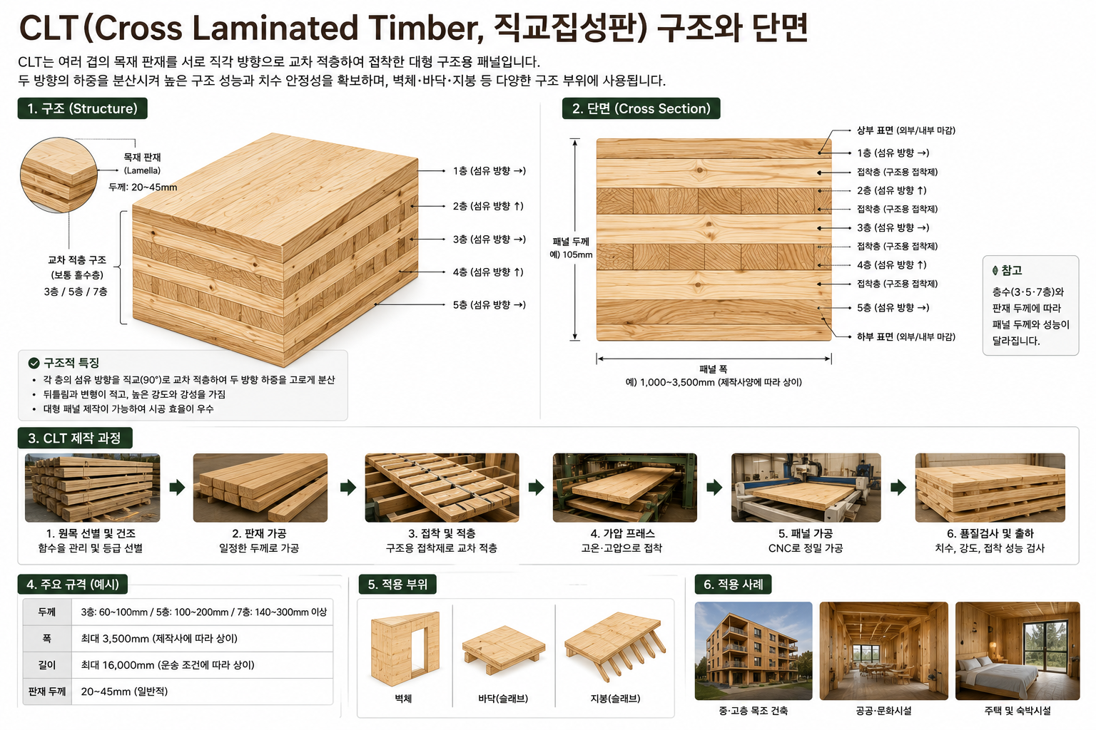 CLT의 구조와 단면