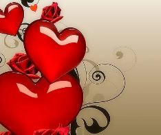 입양 조건 절차 확인하기