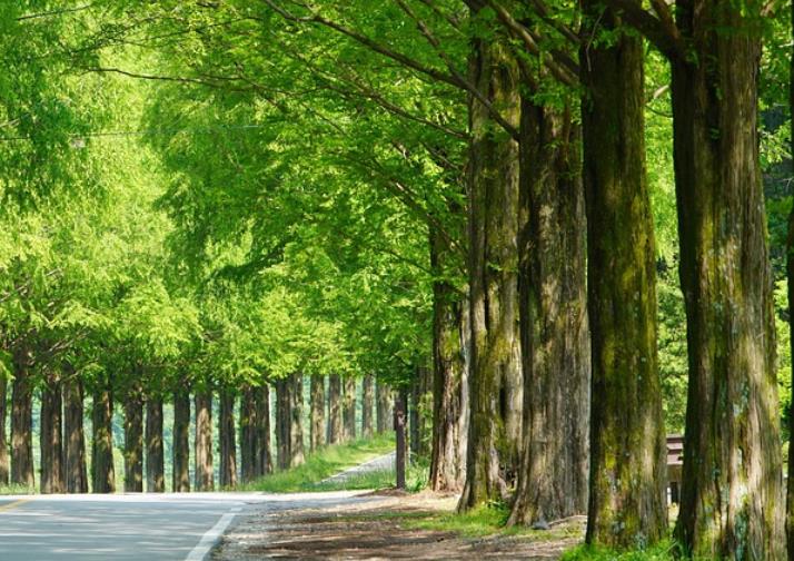 영광 가볼만한곳 베스트10